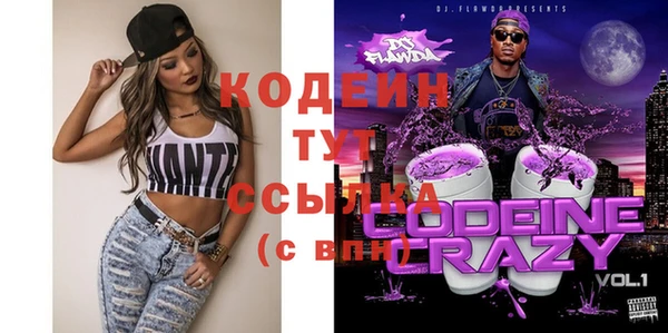 хмурый Вяземский