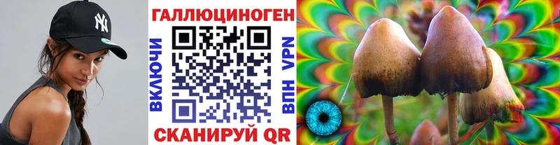 Псилоцибиновые грибы мухоморы  Купить закладки  Заволжье 